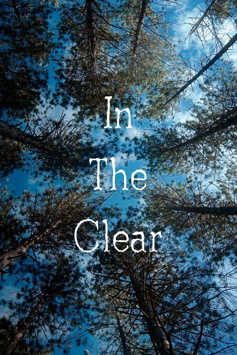 Poster of In the Clear