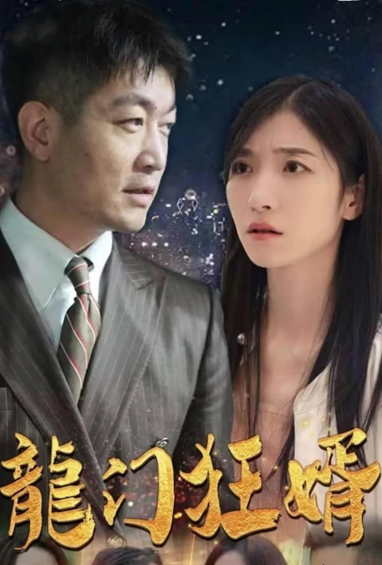 Poster of 龙门狂婿