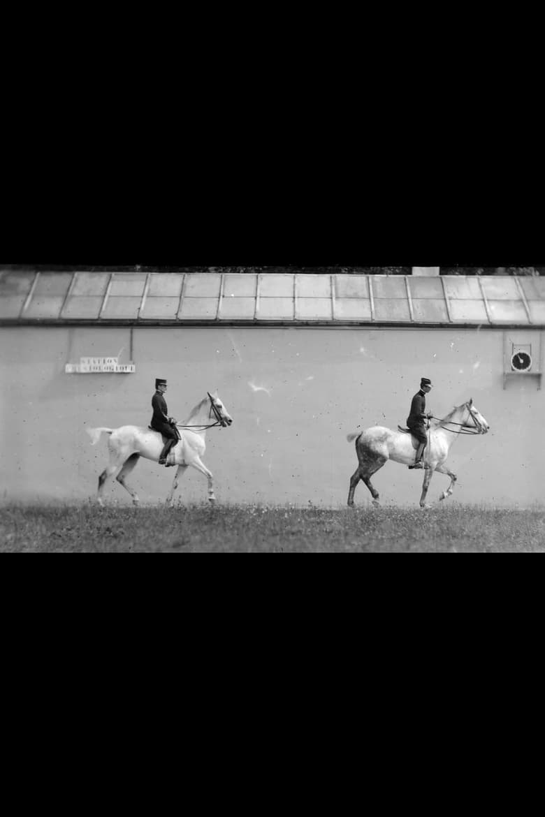 Poster of Cheval Monté, Deux Chevaux Bais Se Suivant au Pas