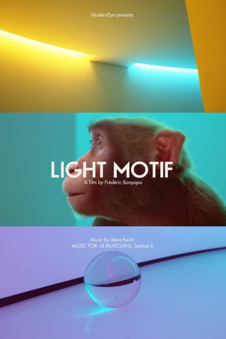 Poster of Light Motif