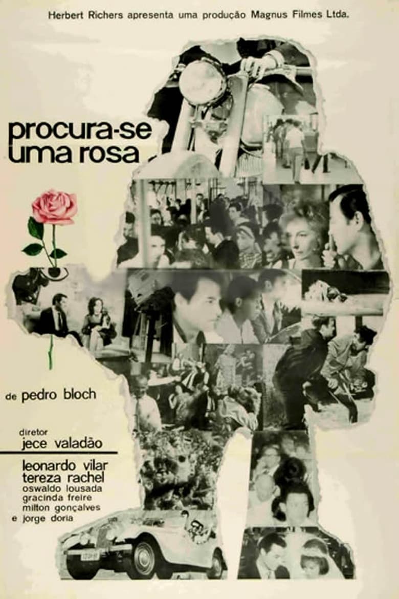 Poster of Procura-se Uma Rosa