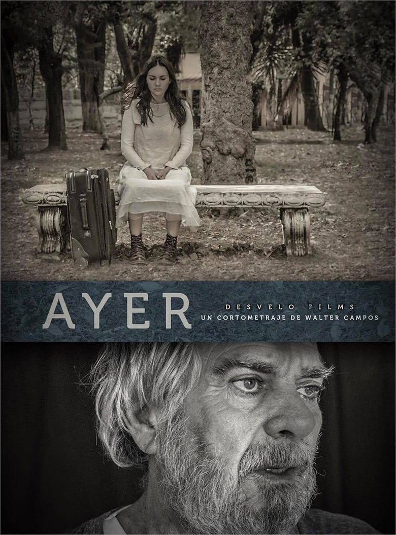 Poster of Ayer