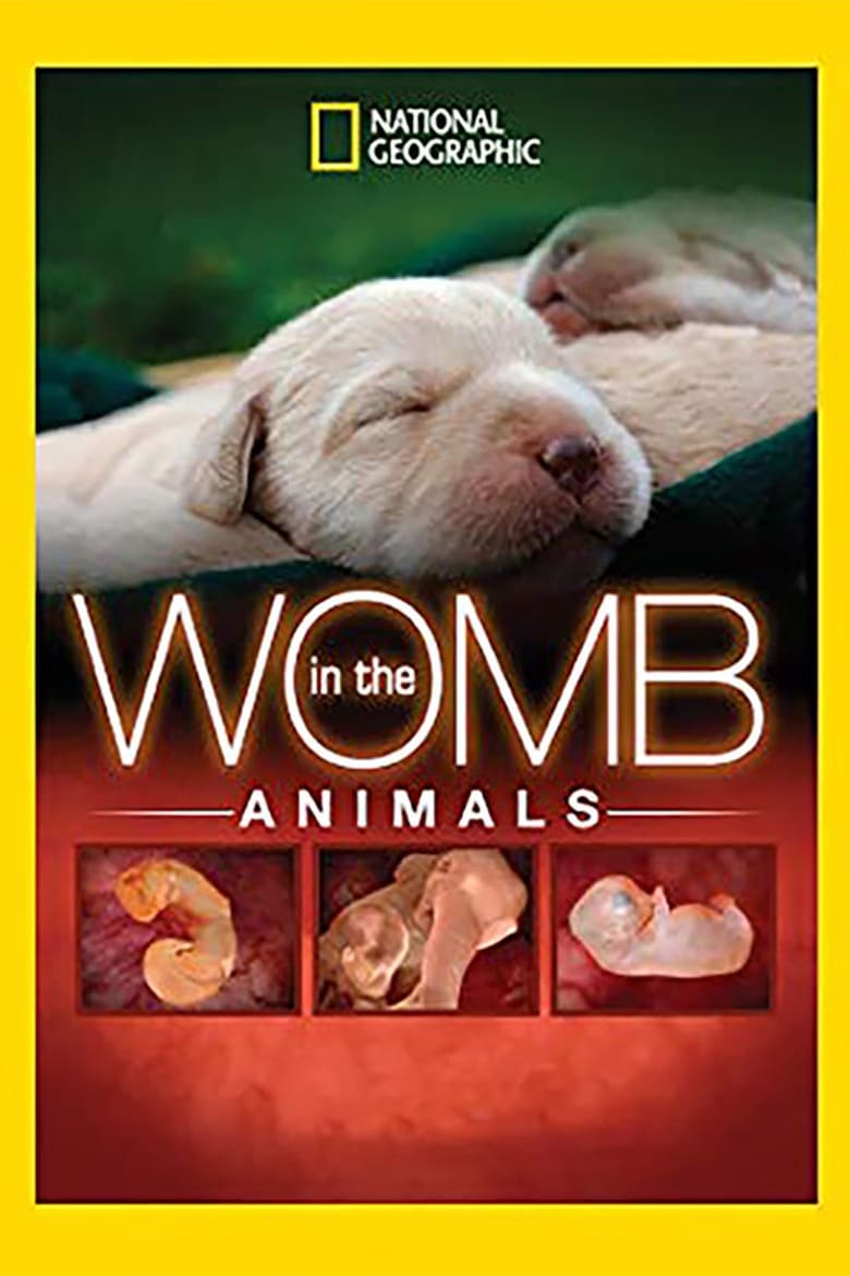 Poster of In The Womb: Animals