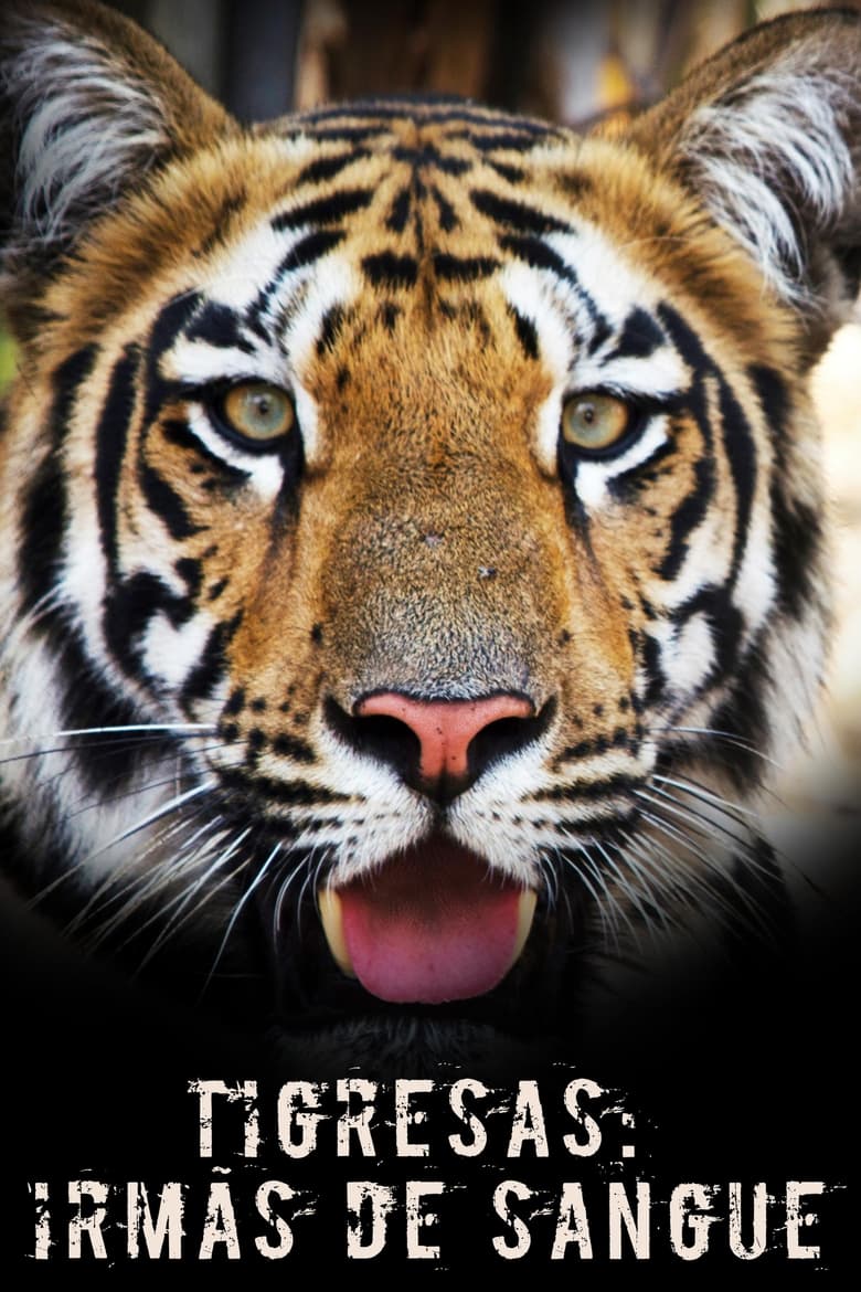 Poster of Tigress Blood