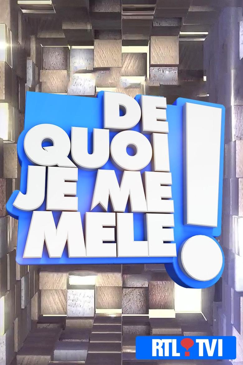 Poster of De quoi je me mêle !