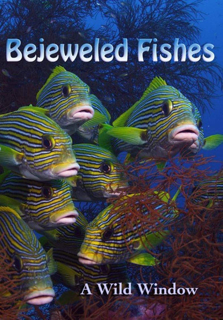 Poster of Wild Window: Bejeweled Fishes