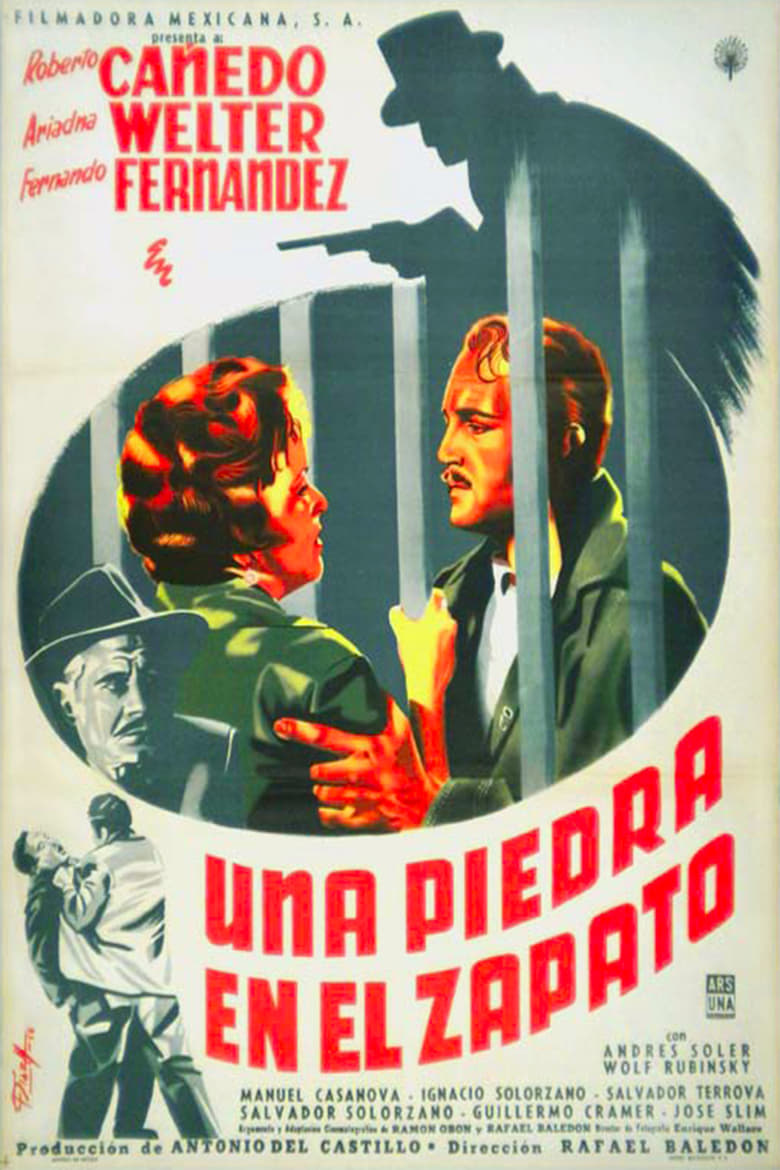 Poster of Una piedra en el zapato