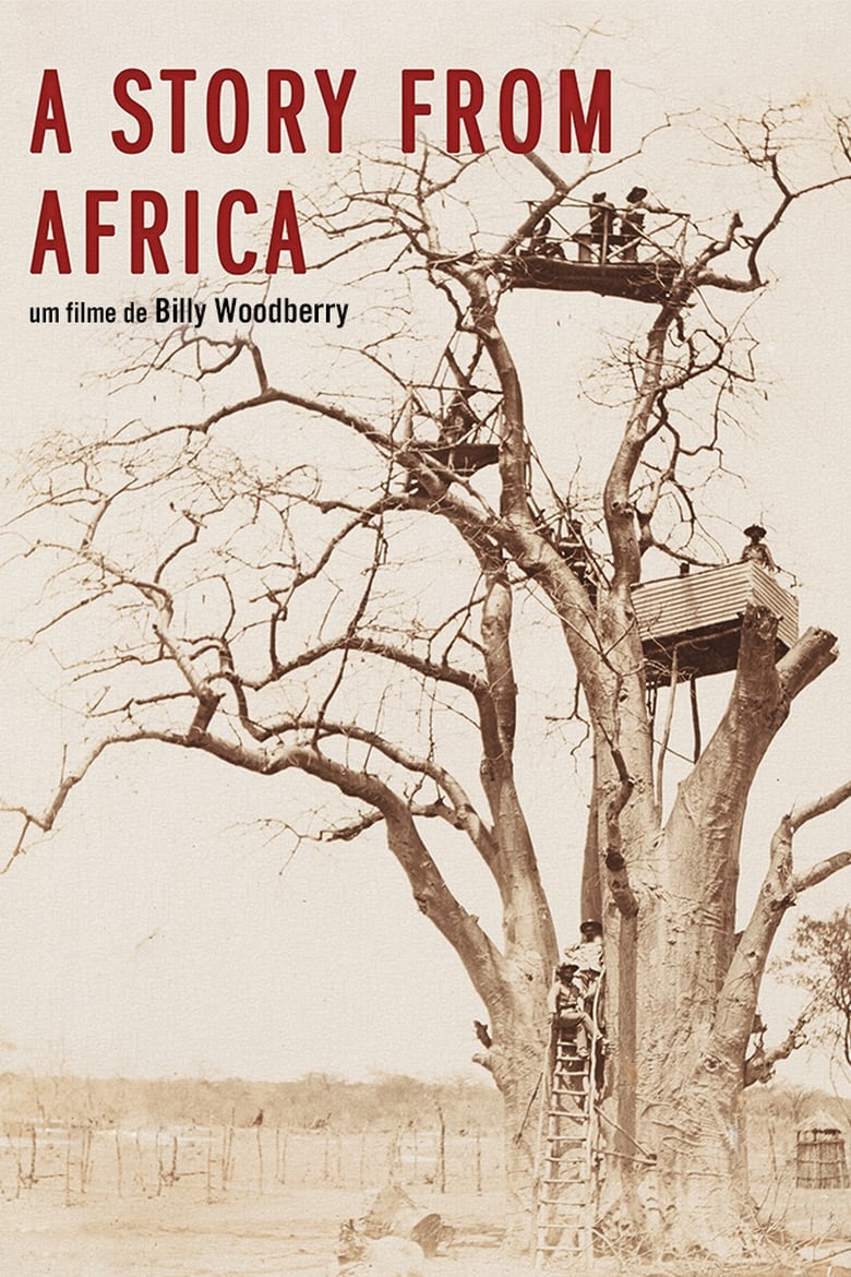 Poster of A Story from Africa