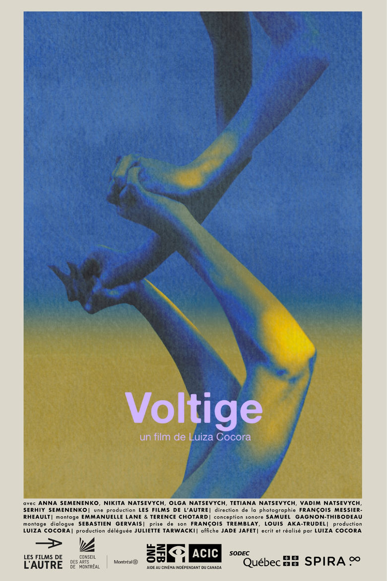 Poster of Voltige