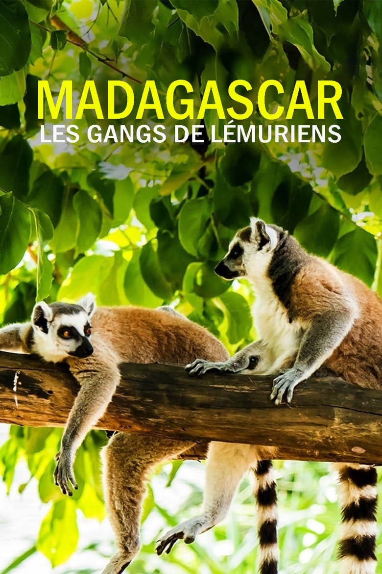 Poster of Episodes in Gangs Of Lemur Island - Season 1 - Season 1