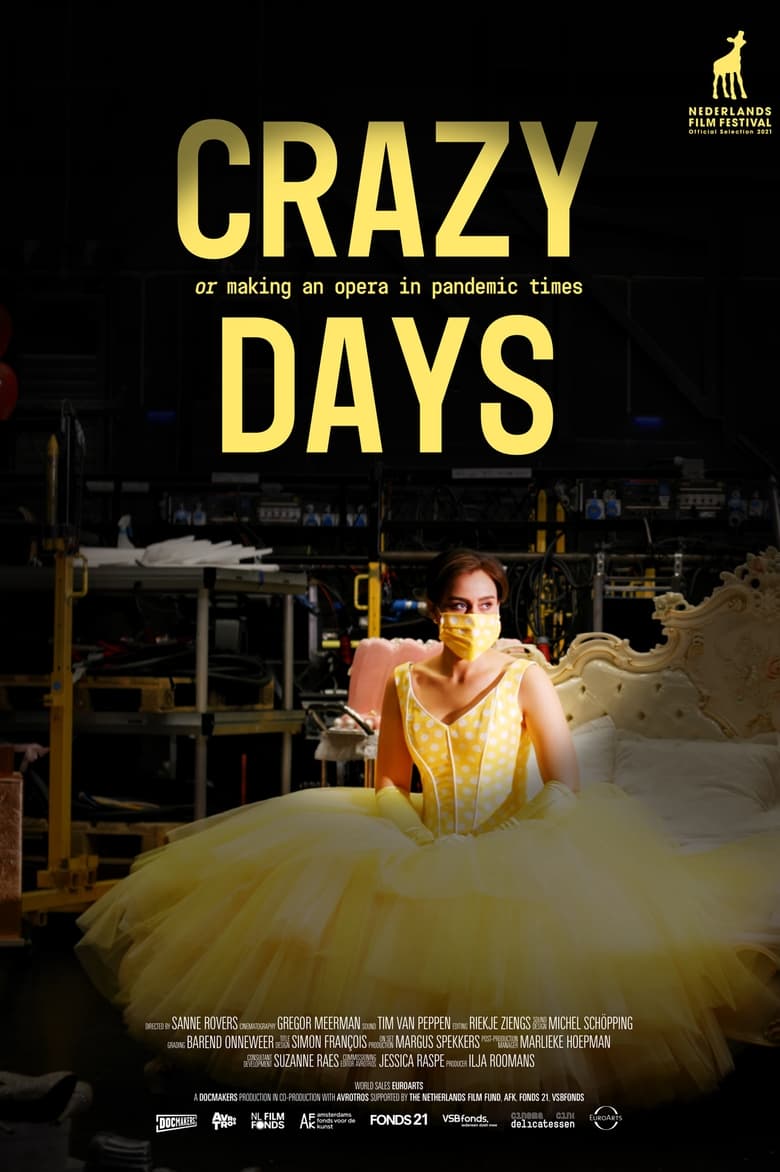 Poster of Crazy Days