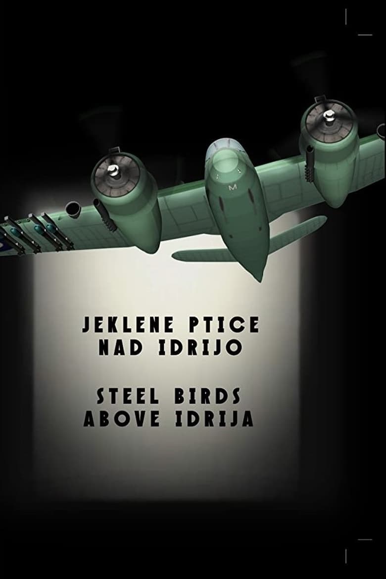 Poster of Steel Birds Above Idrija