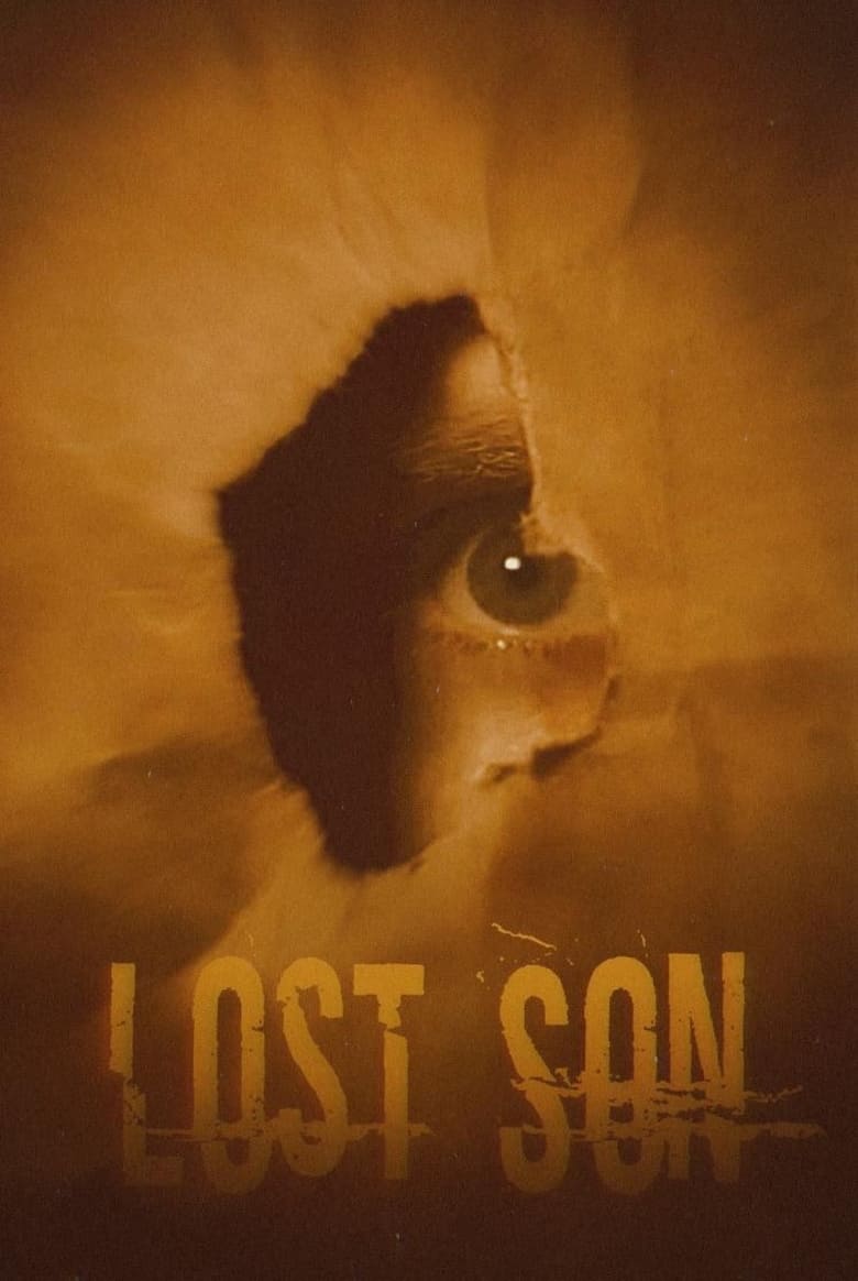 Poster of Lost Son