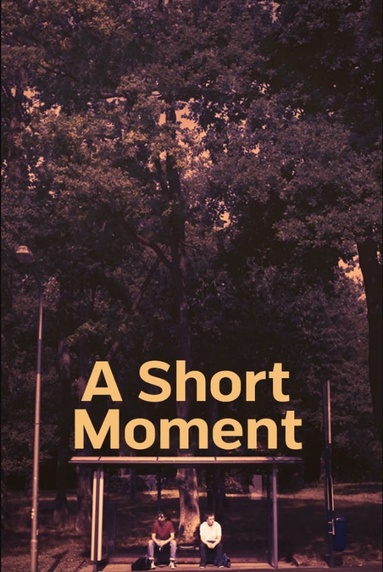 Poster of A Short Moment