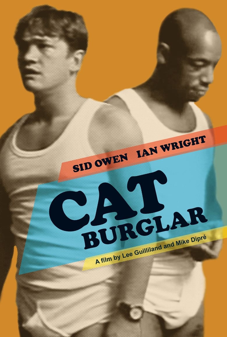 Poster of Cat Burglar