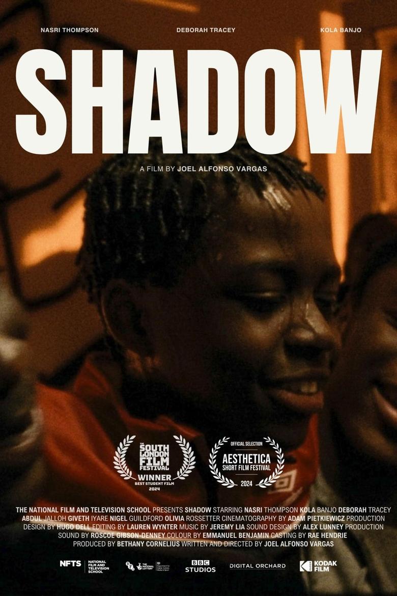 Poster of Shadow