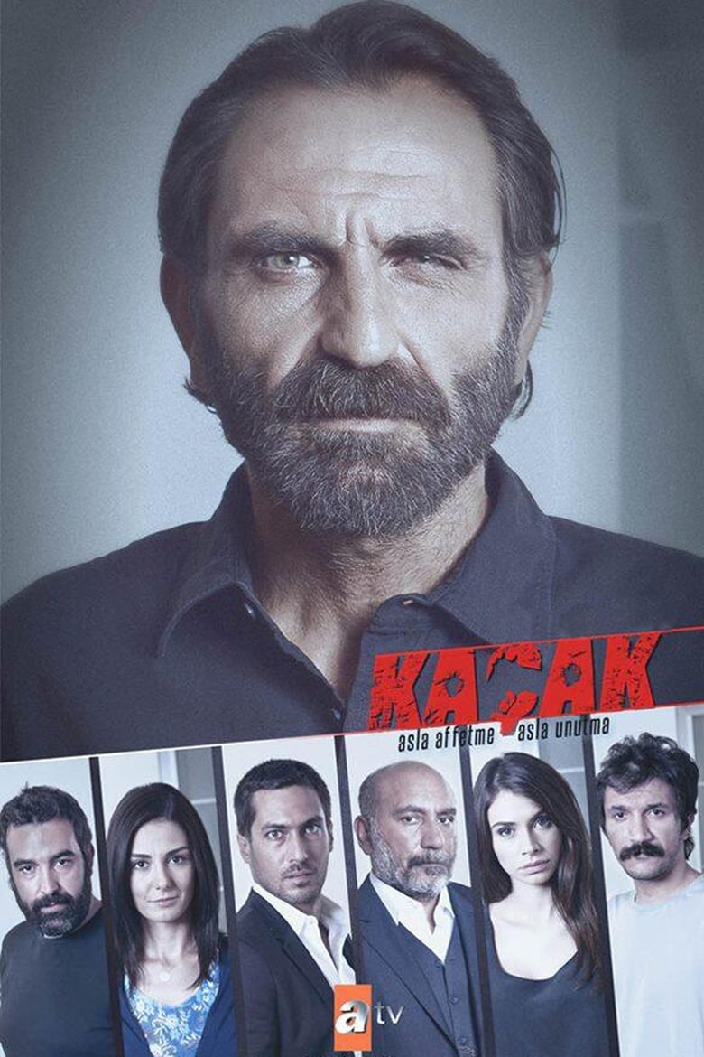 Poster of Kaçak