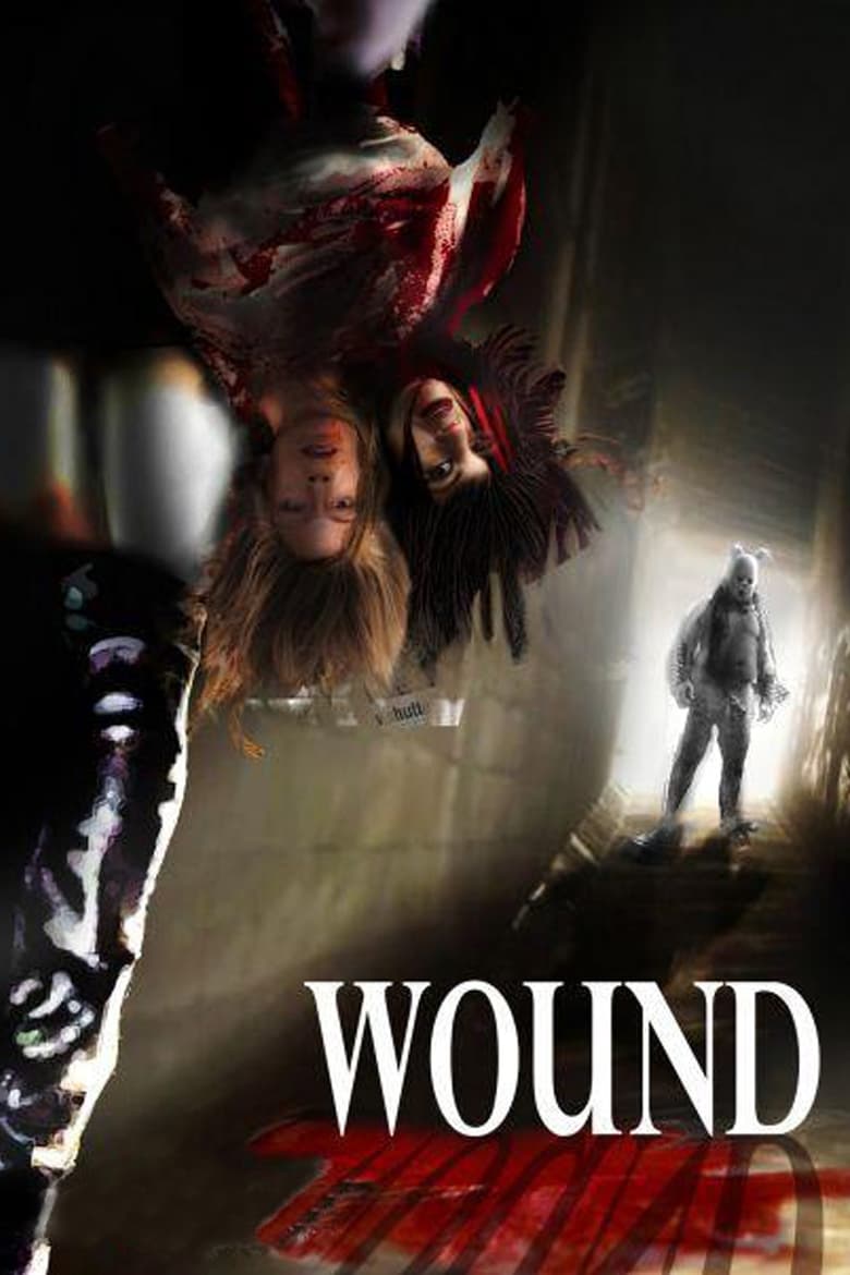 Poster of Wound