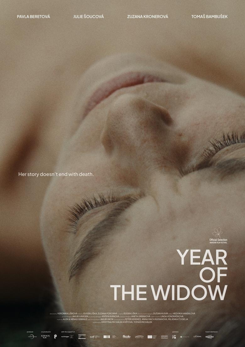 Poster of Year of the Widow