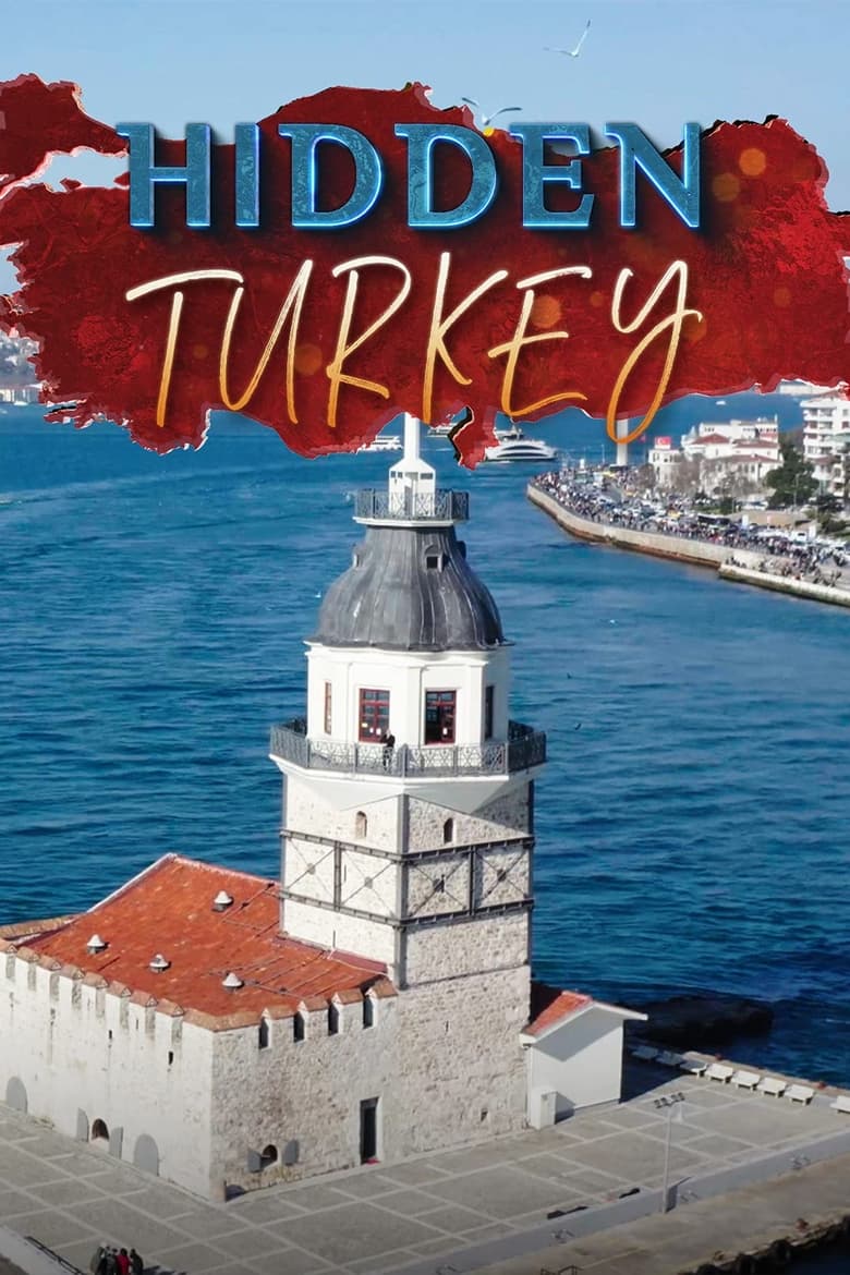 Poster of Hidden Turkey