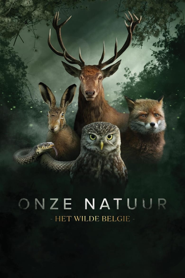 Poster of Onze Natuur, De Film