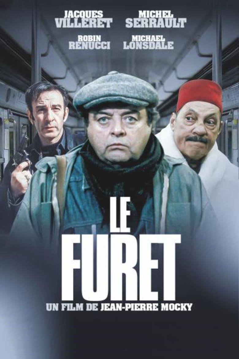 Poster of Le Furet