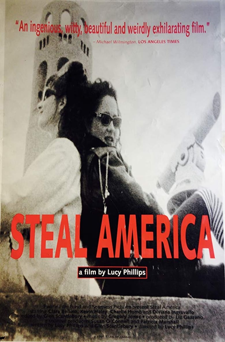 Poster of Steal America