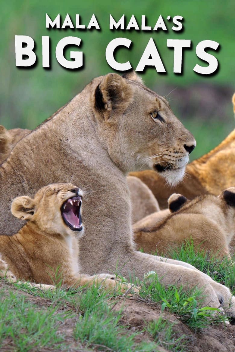 Poster of Mala Mala's Big Cats