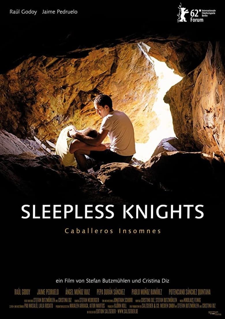 Poster of Sleepless Knights