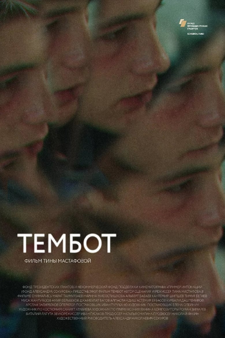 Poster of Tembot