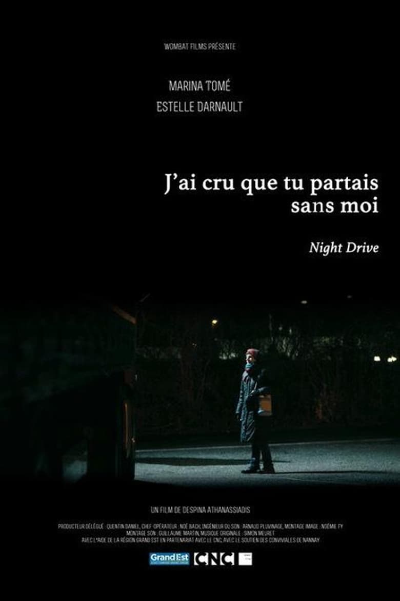 Poster of Night Drive