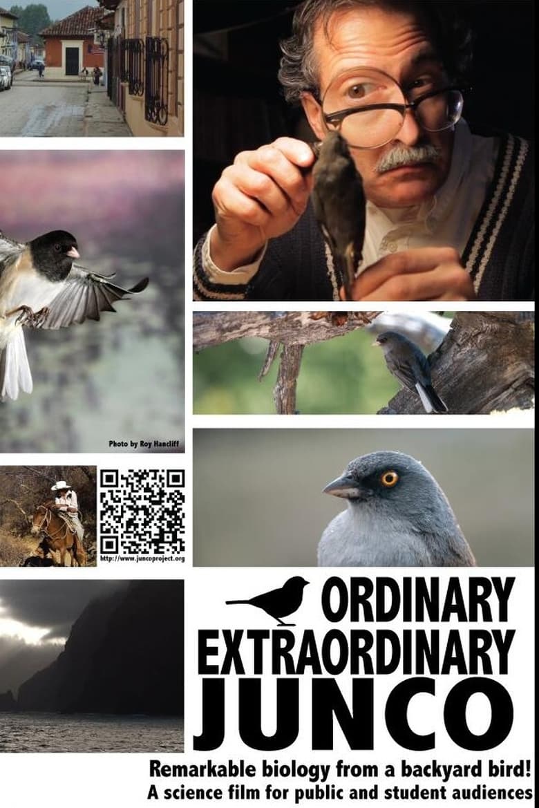 Poster of Ordinary Extraordinary Junco