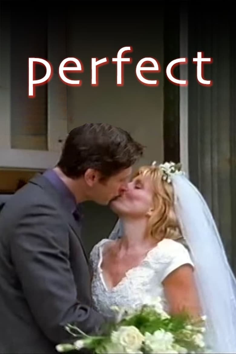 Poster of Perfect