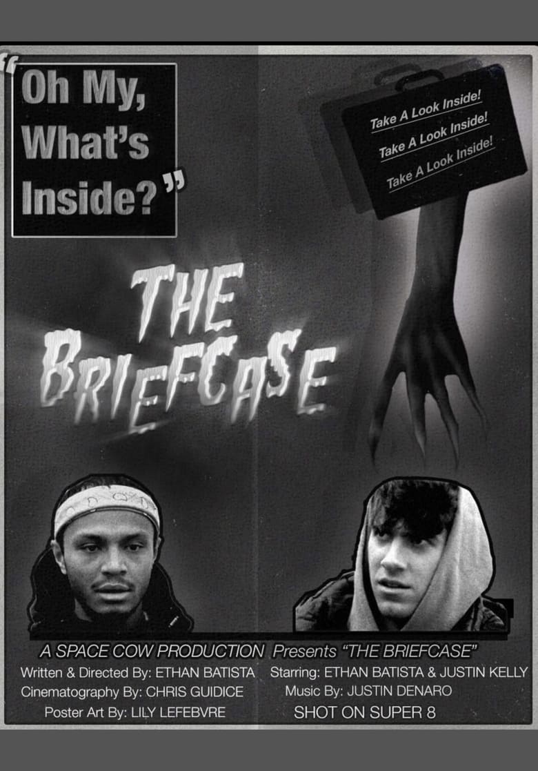 Poster of THE BRIEFCASE