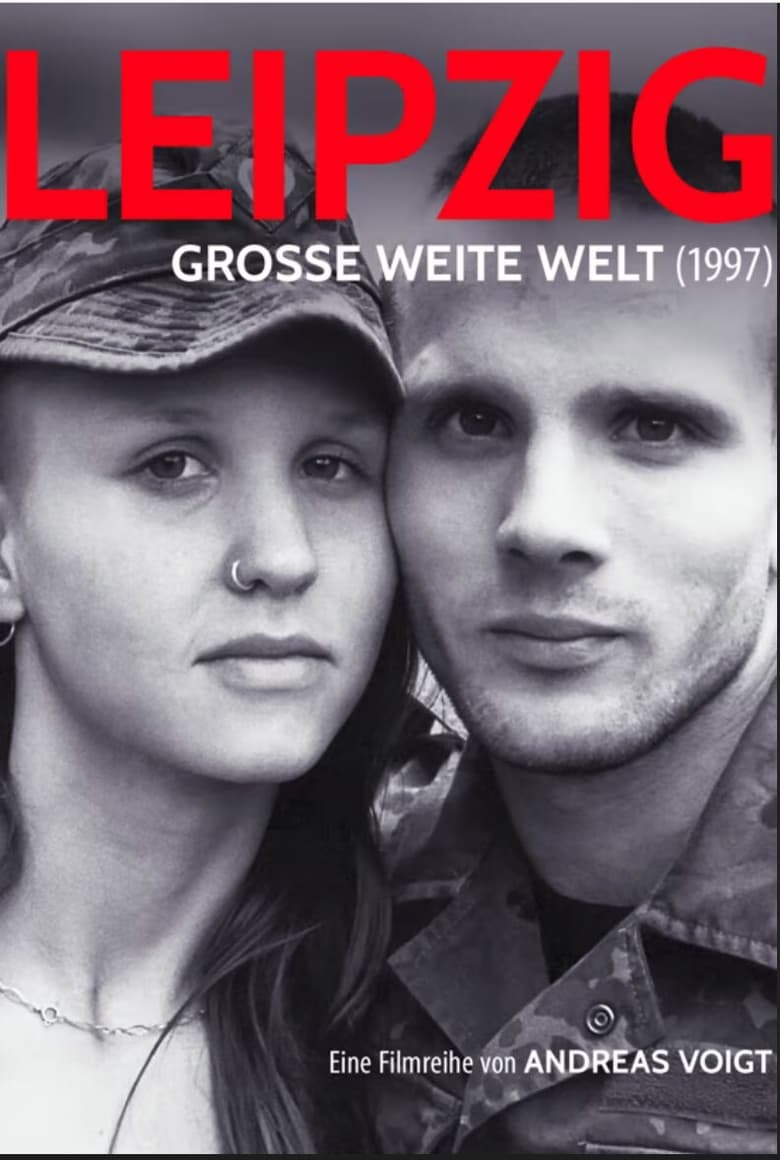 Poster of Große weite Welt