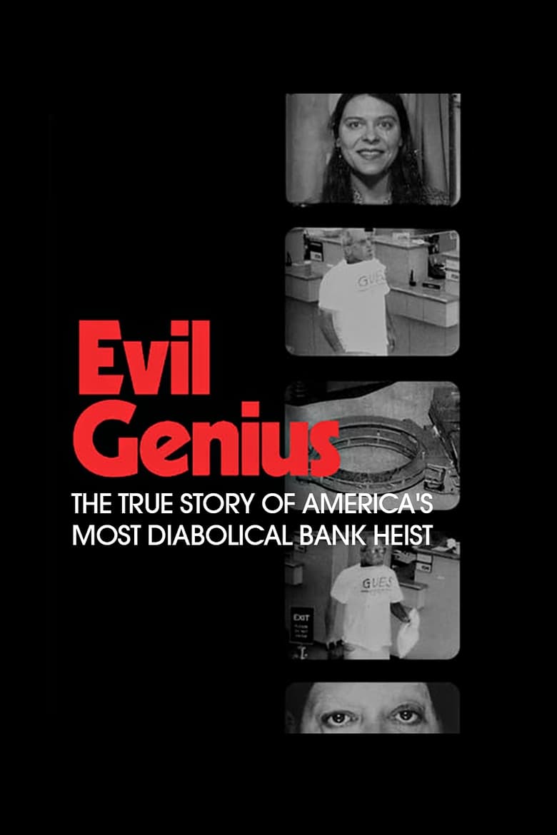 Poster of Evil Genius