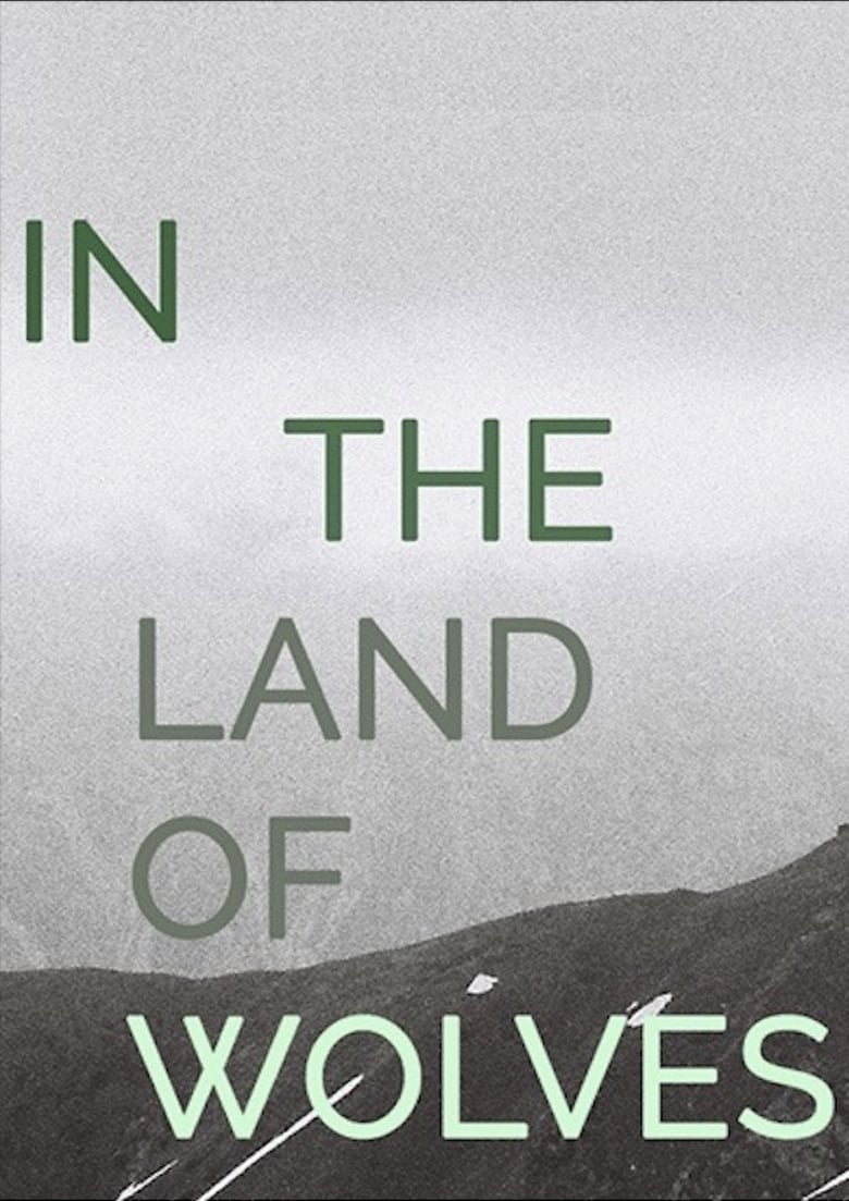 Poster of In the Land of Wolves