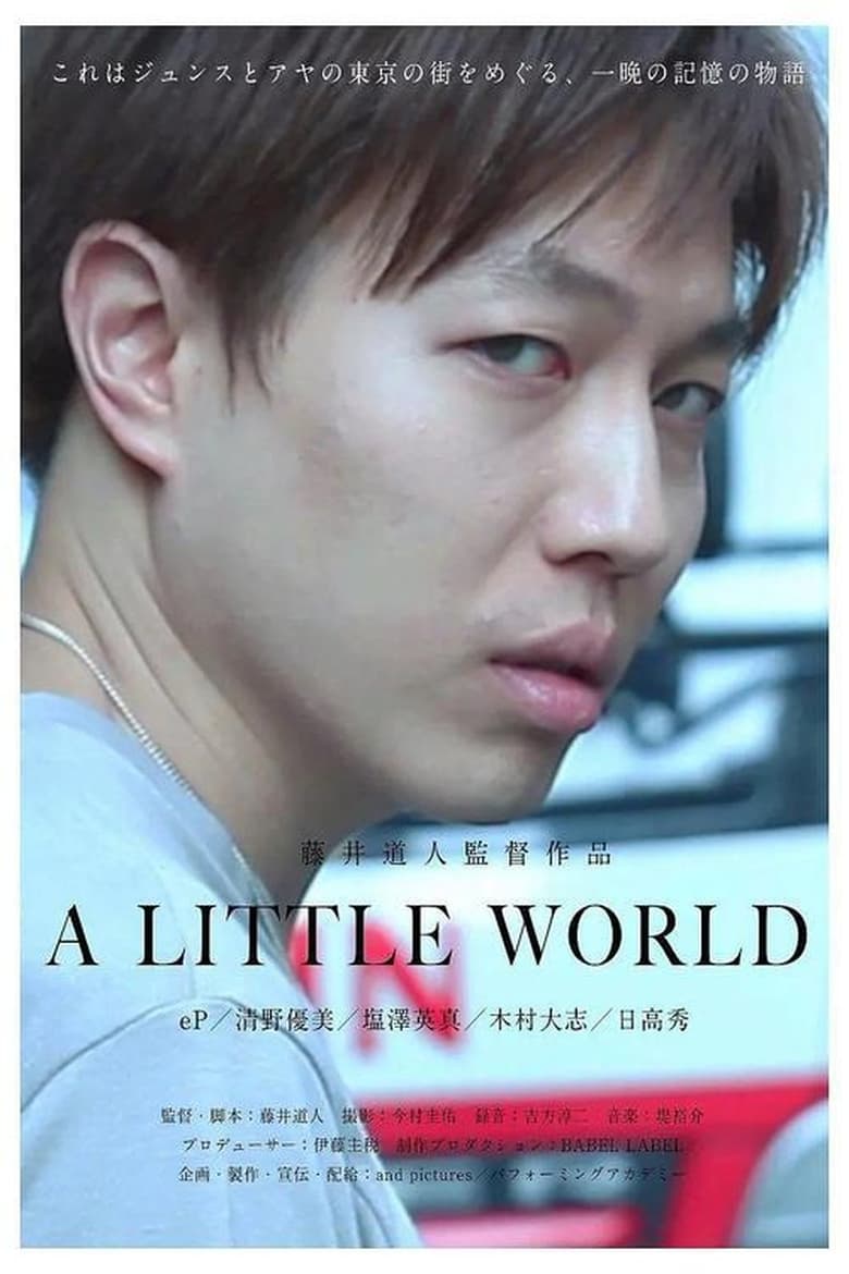 Poster of A Little World