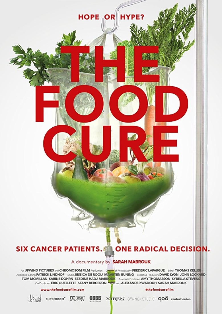 Poster of The Food Cure: Hope or Hype?