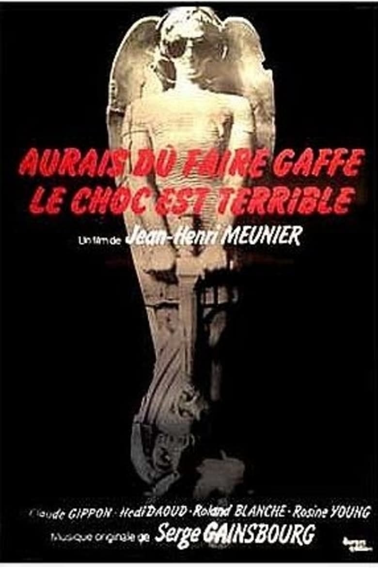 Poster of Aurais dû faire gaffe... le choc est terrible