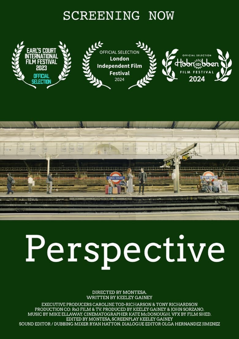 Poster of Perspective