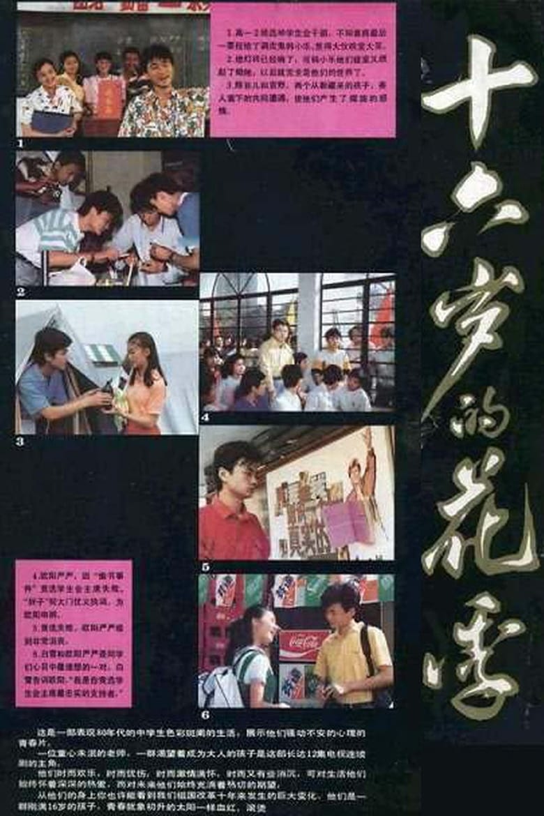 Poster of 十六岁的花季