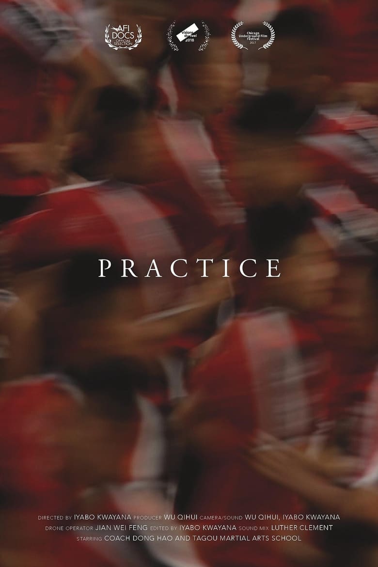 Poster of Practice