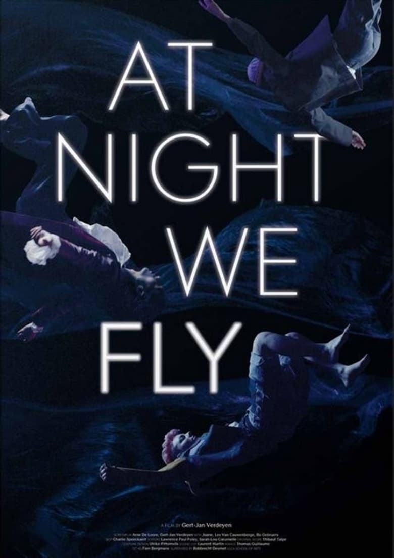 Poster of At Night We Fly