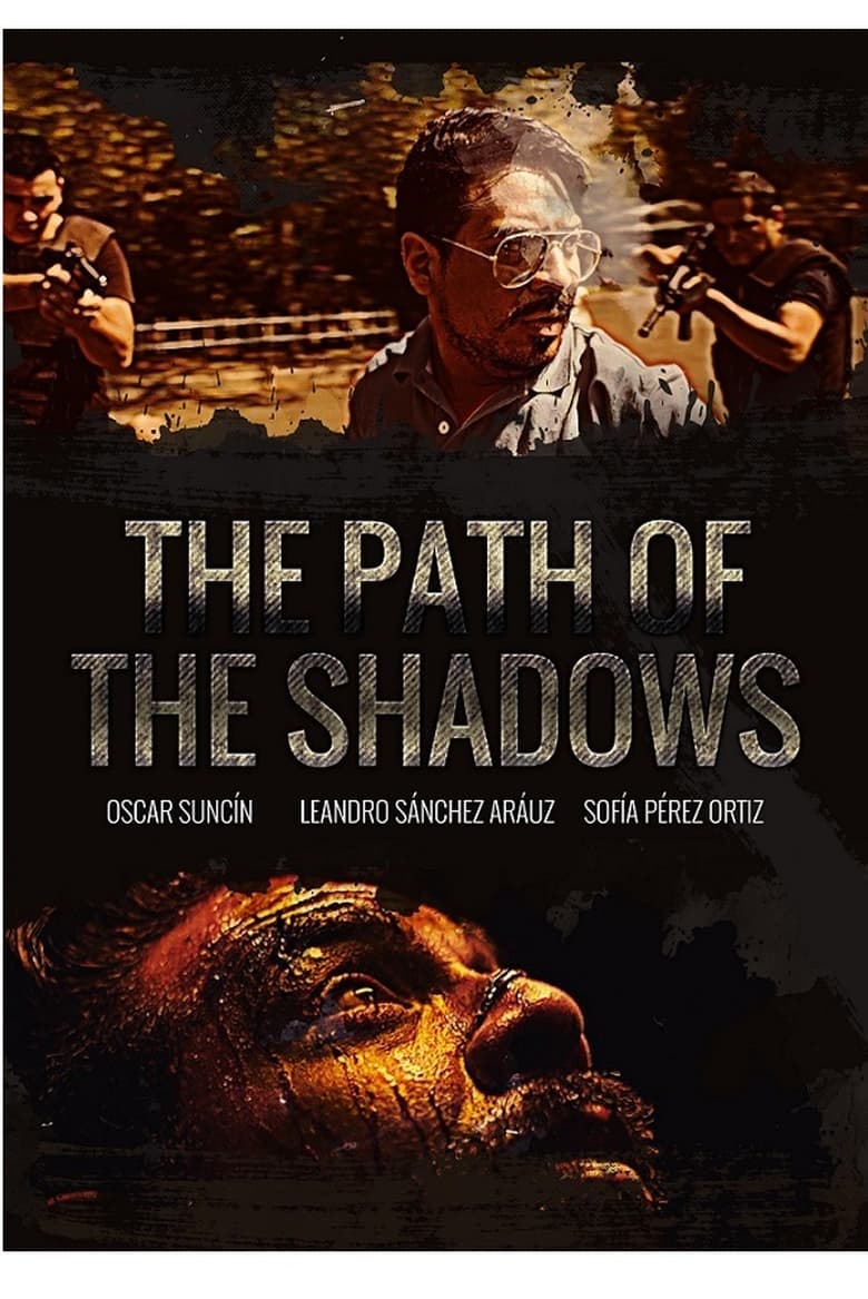 Poster of The path of the shadows