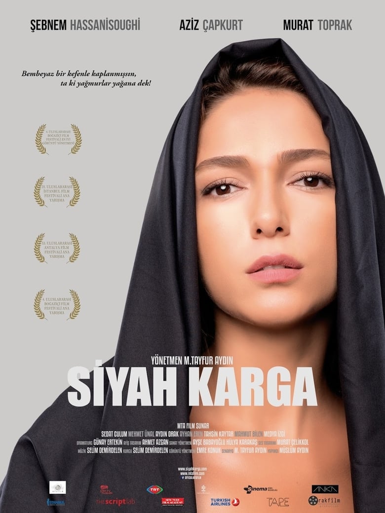 Poster of Siyah Karga