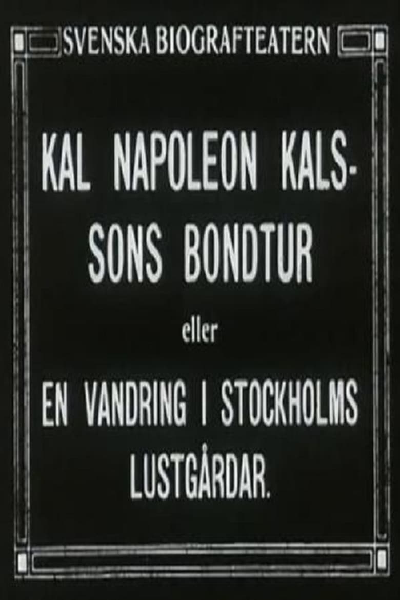 Poster of Kal Napoleon Kalsson's Farm Ride