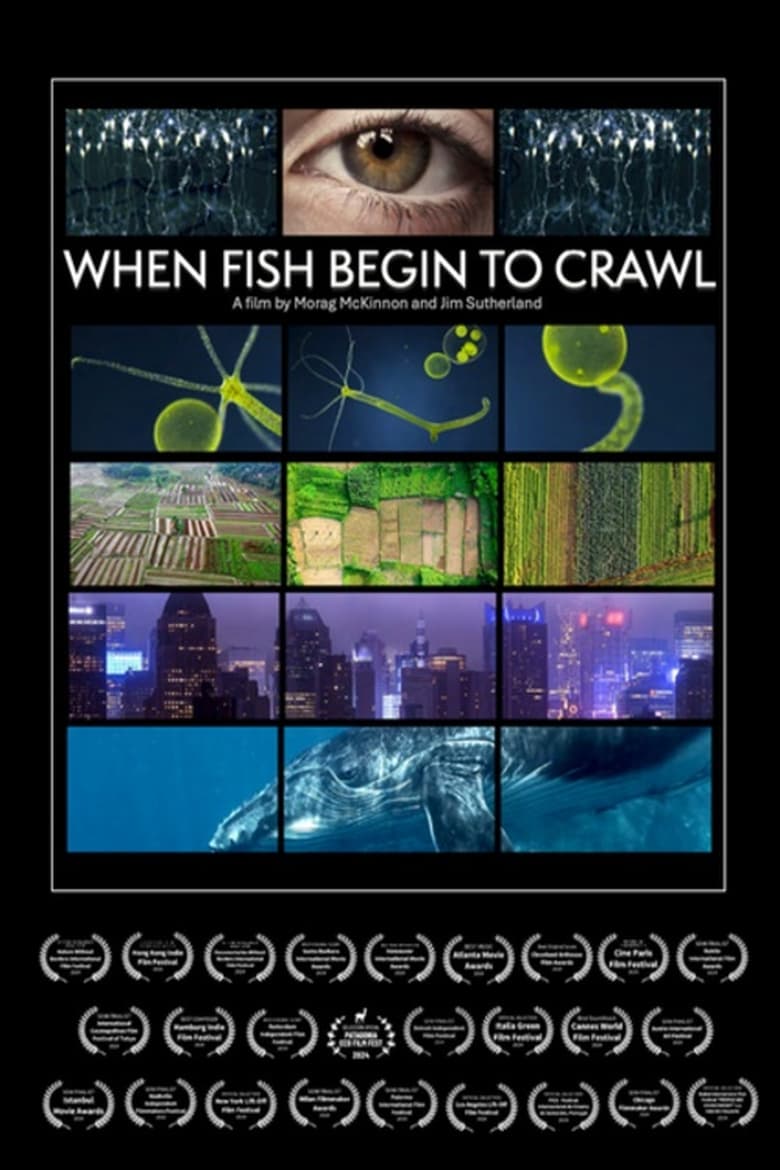 Poster of When Fish Begin to Crawl