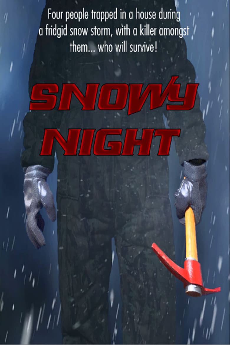 Poster of Snowy Night