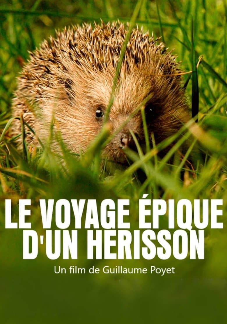 Poster of Le voyage épique d'un hérisson